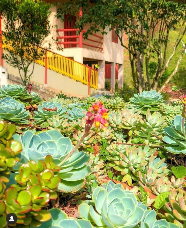 Sitio Dos Palmitos - Casa Pupunha Hotel Pedra Azul  Bagian luar foto